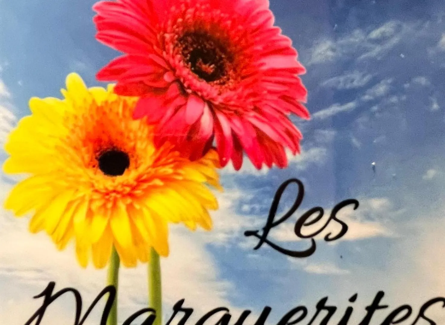 Appartement Maison Des Fleurs T2 Cosy La Terrasse